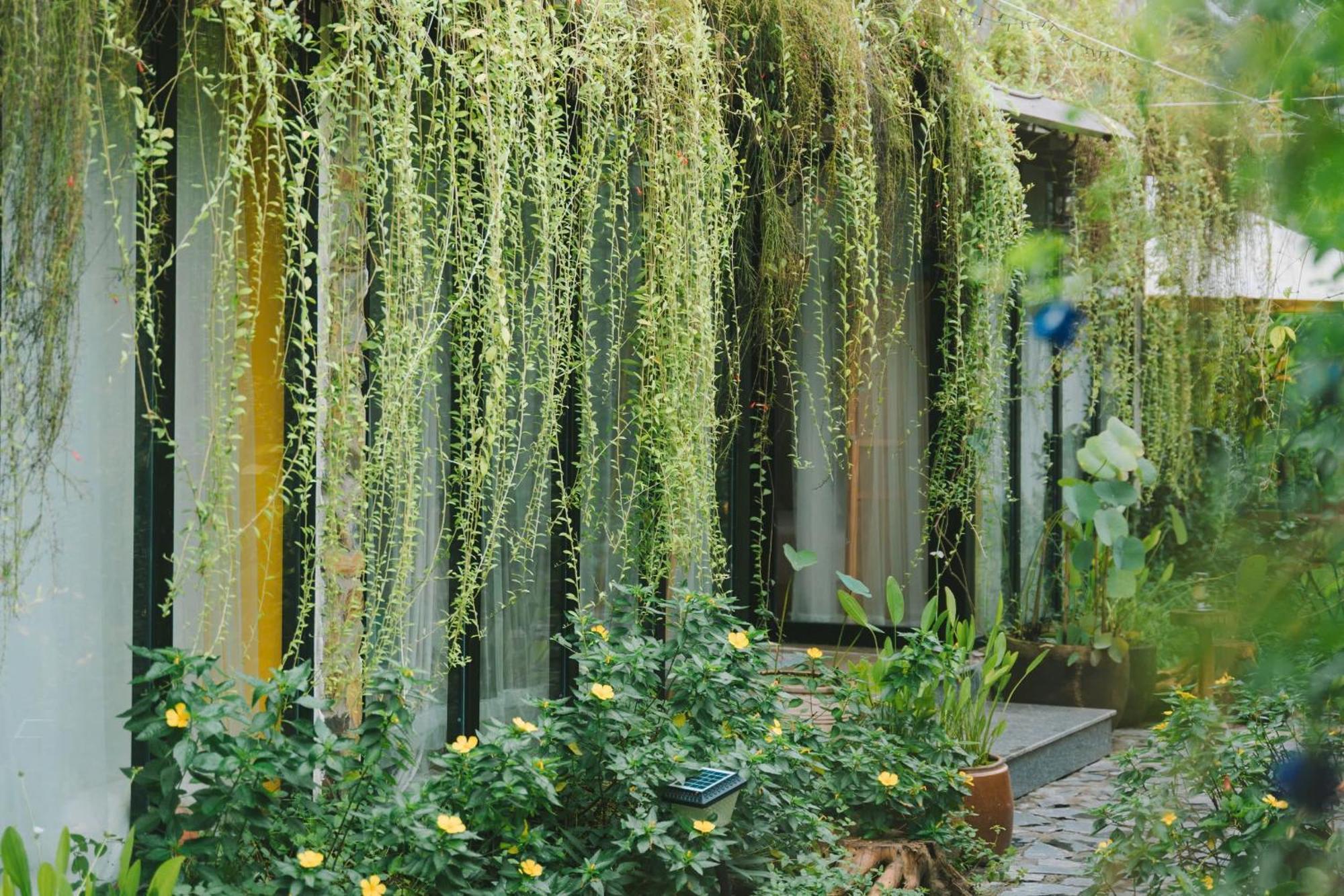 Ben Do Xua Homestay & Coffee Cai Rang Exterior foto
