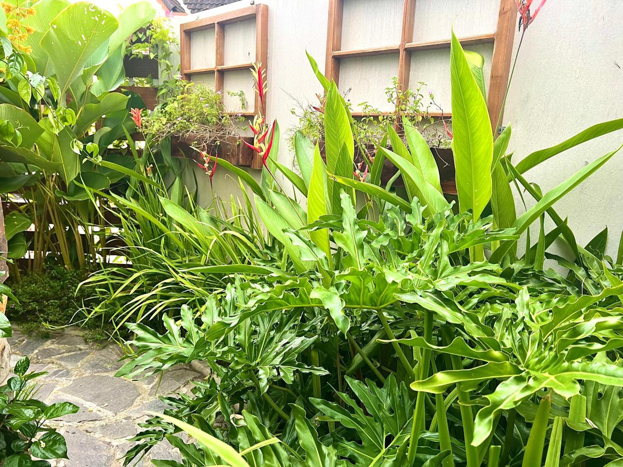 Ben Do Xua Homestay & Coffee Cai Rang Exterior foto